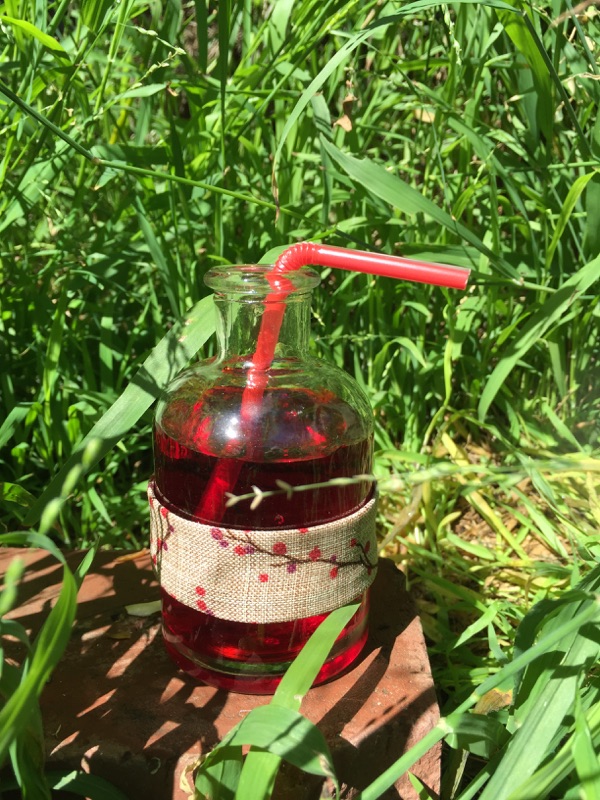 Freshly brewed TONIC